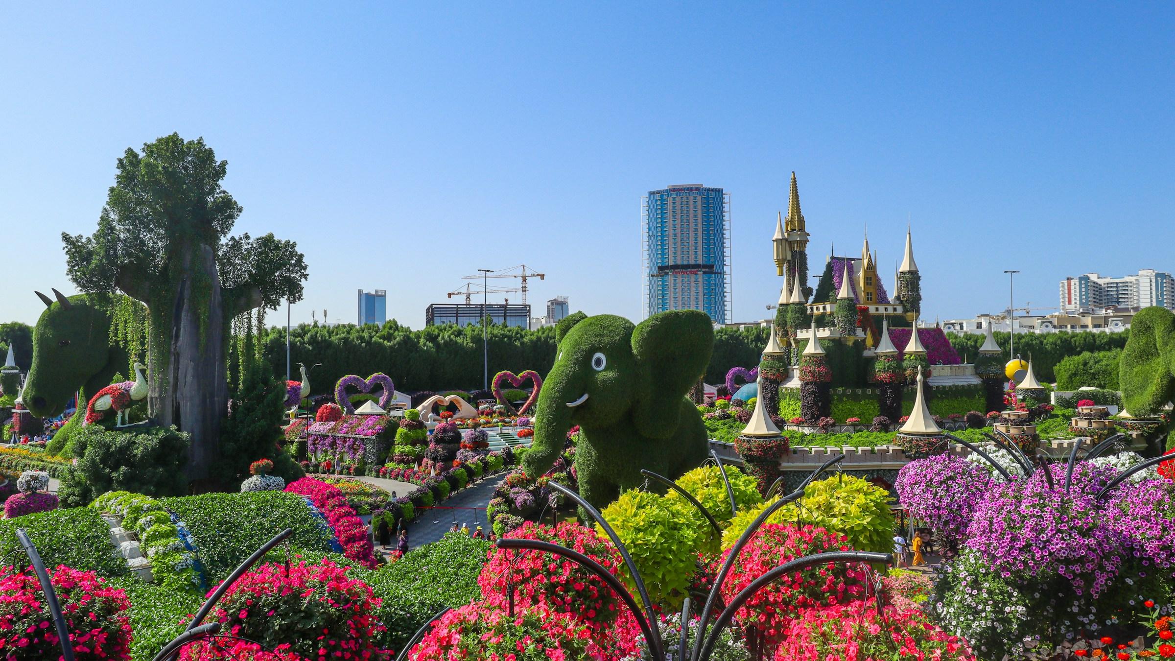 Flower displays at Dubai Miracle Garden, which opens for the cooler months