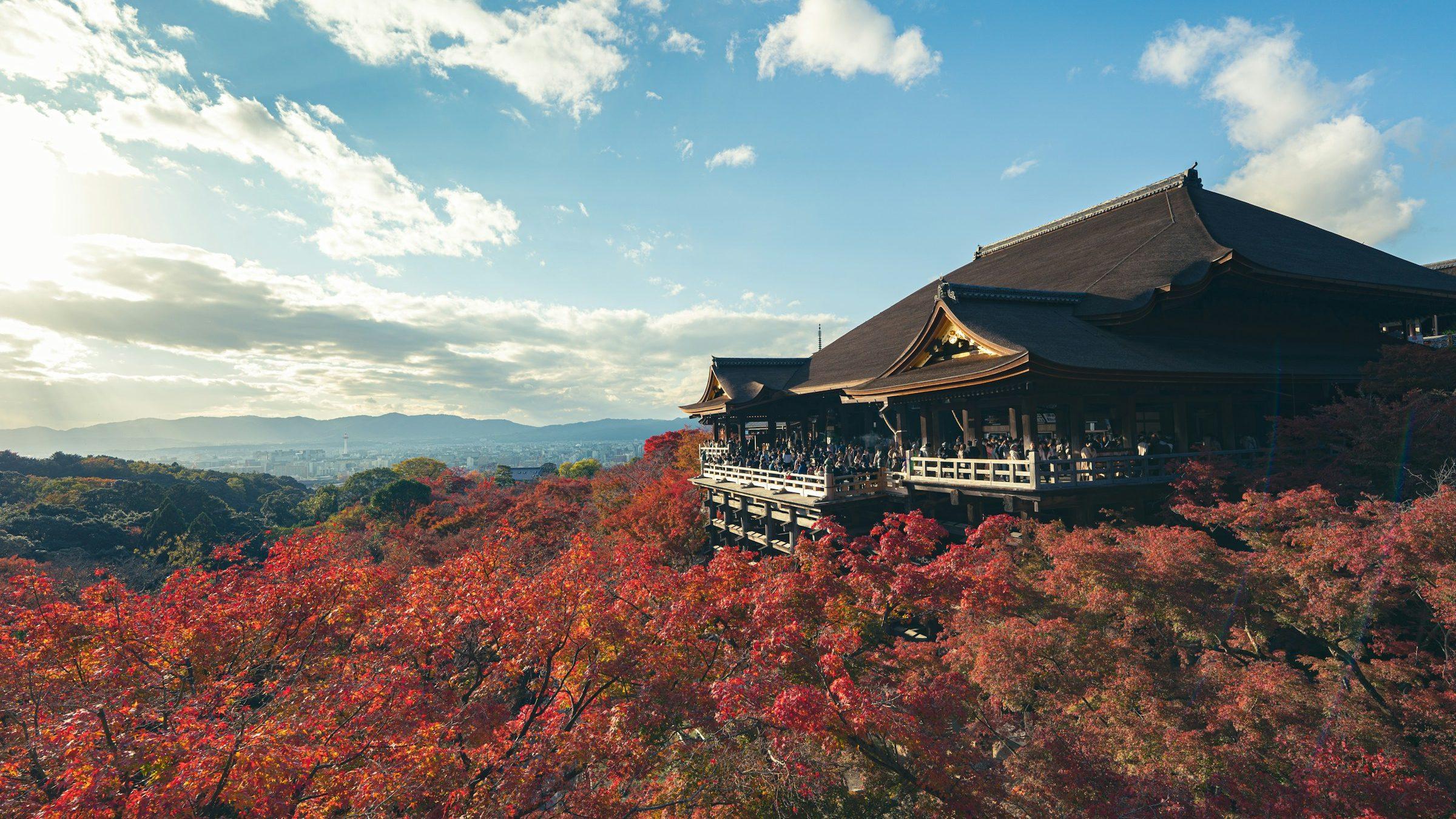 Kiyomizu-dera temple above autumn maples in Kyoto, Japan