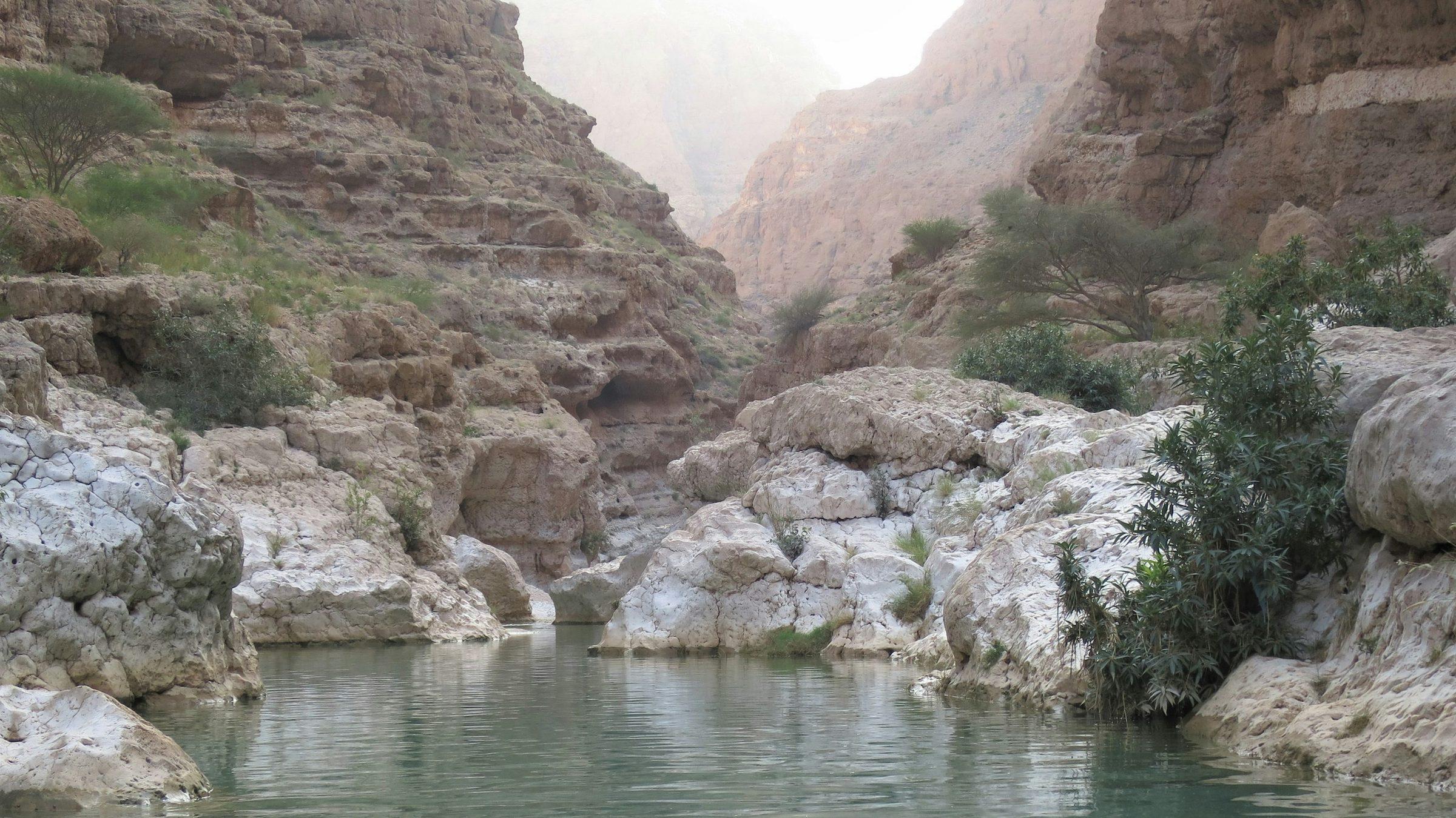The canyon walls and pools of Wadi Shab, Oman