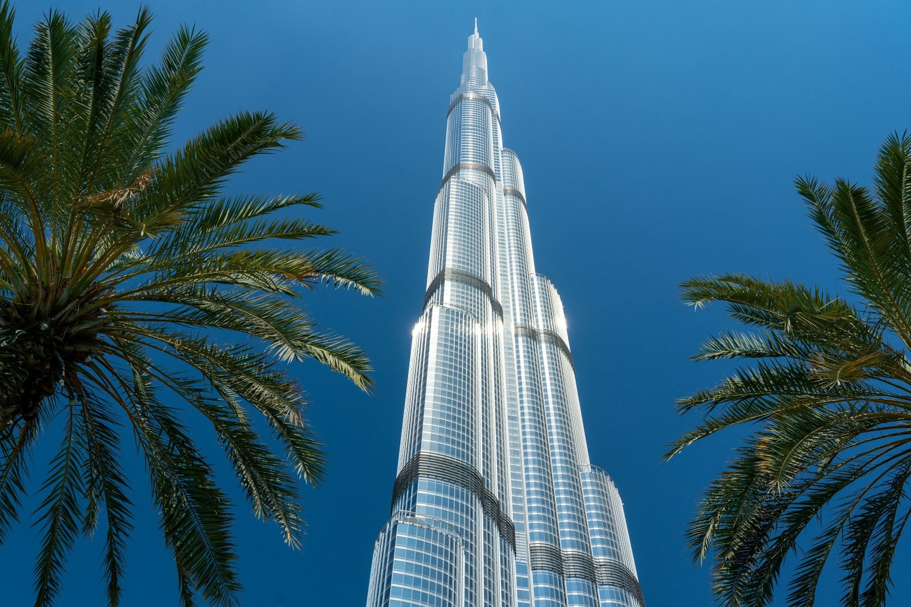 برج خليفة، مقر Armani Hotel Dubai، بين أشجار النخيل