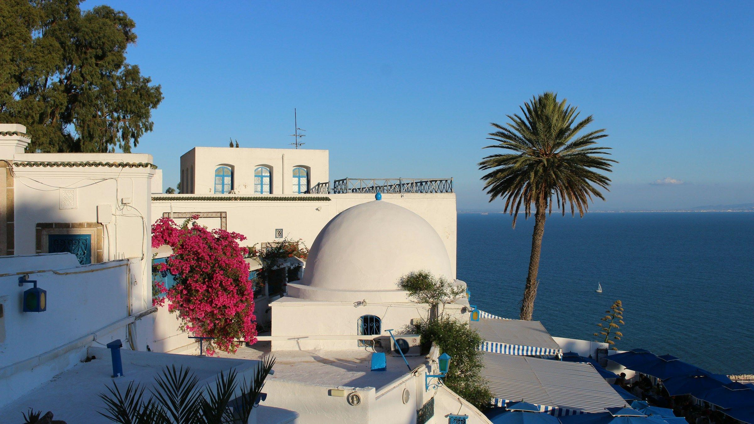 White and blue houses and bougainvillea above the sea in Sidi Bou Said, near Tunis