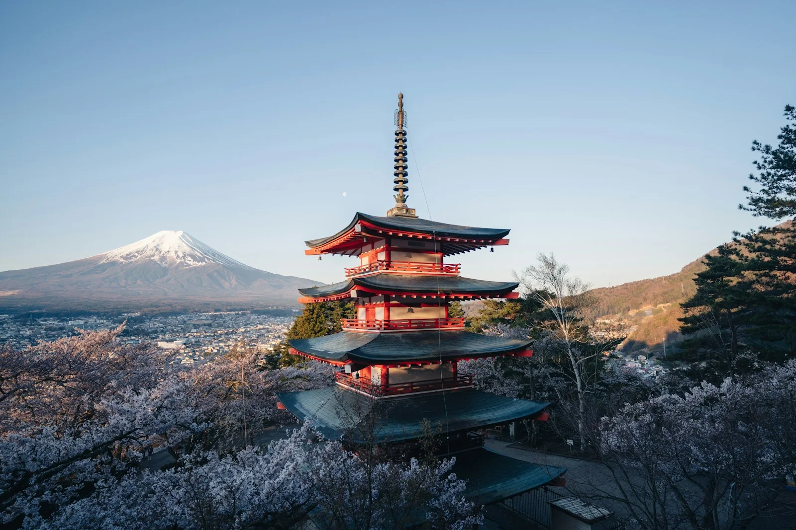 Chureito Pagoda and Mount Fuji in cherry blossom season