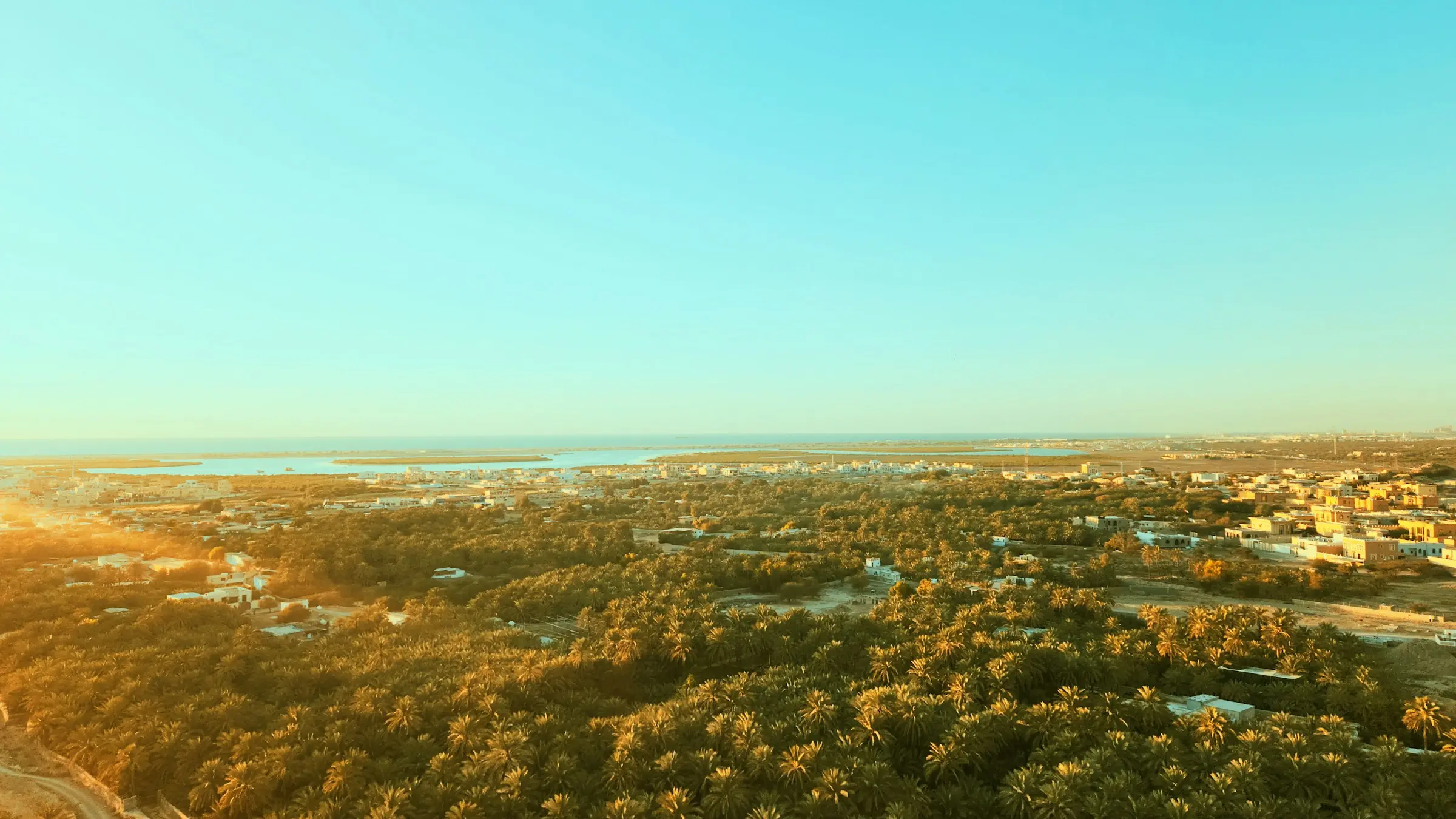 Palm groves and the coast of Ras Al Khaimah seen from above at sunset