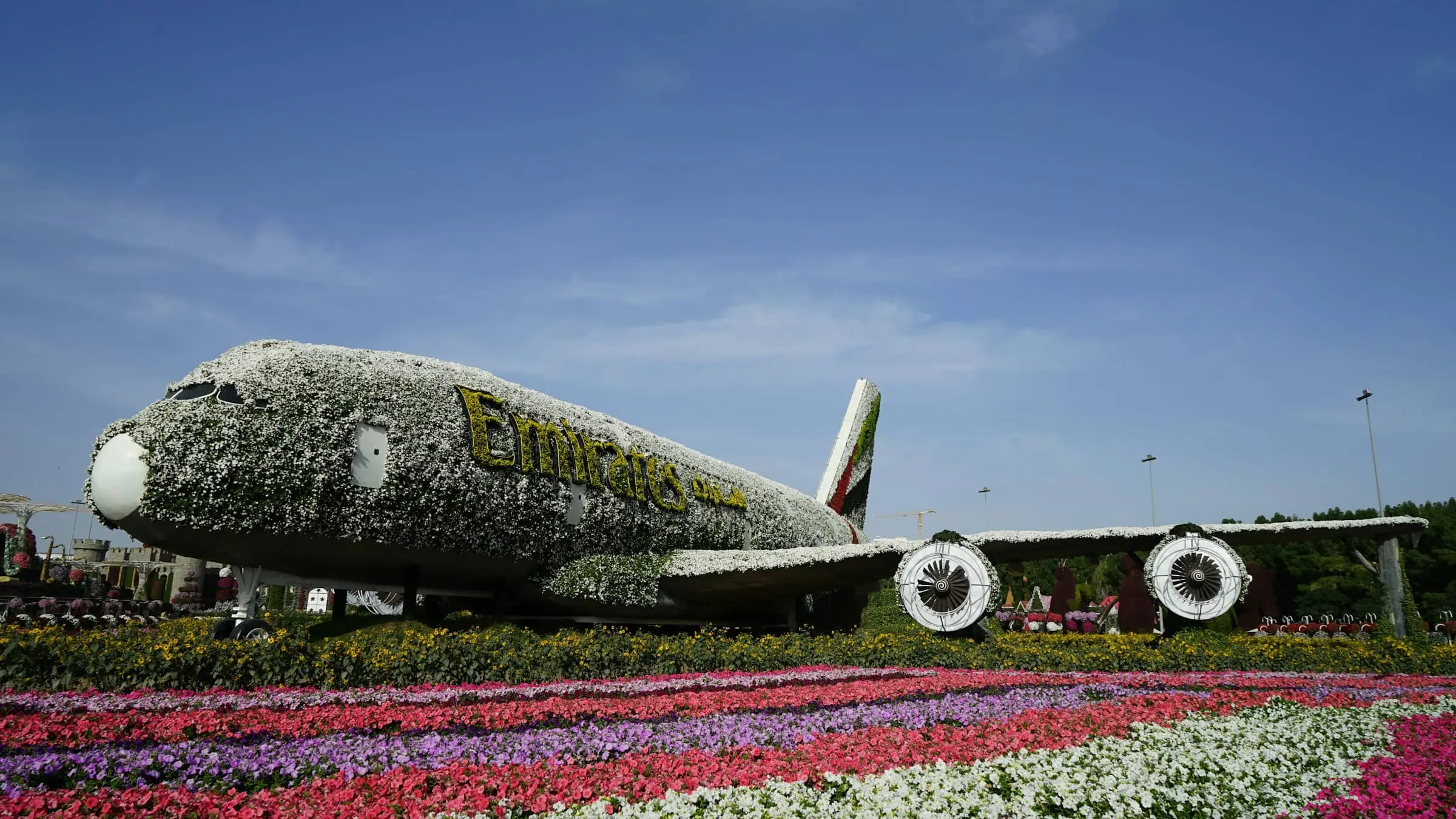The flower-covered Emirates A380 at Dubai Miracle Garden, behind rows of pink, purple and white petunias