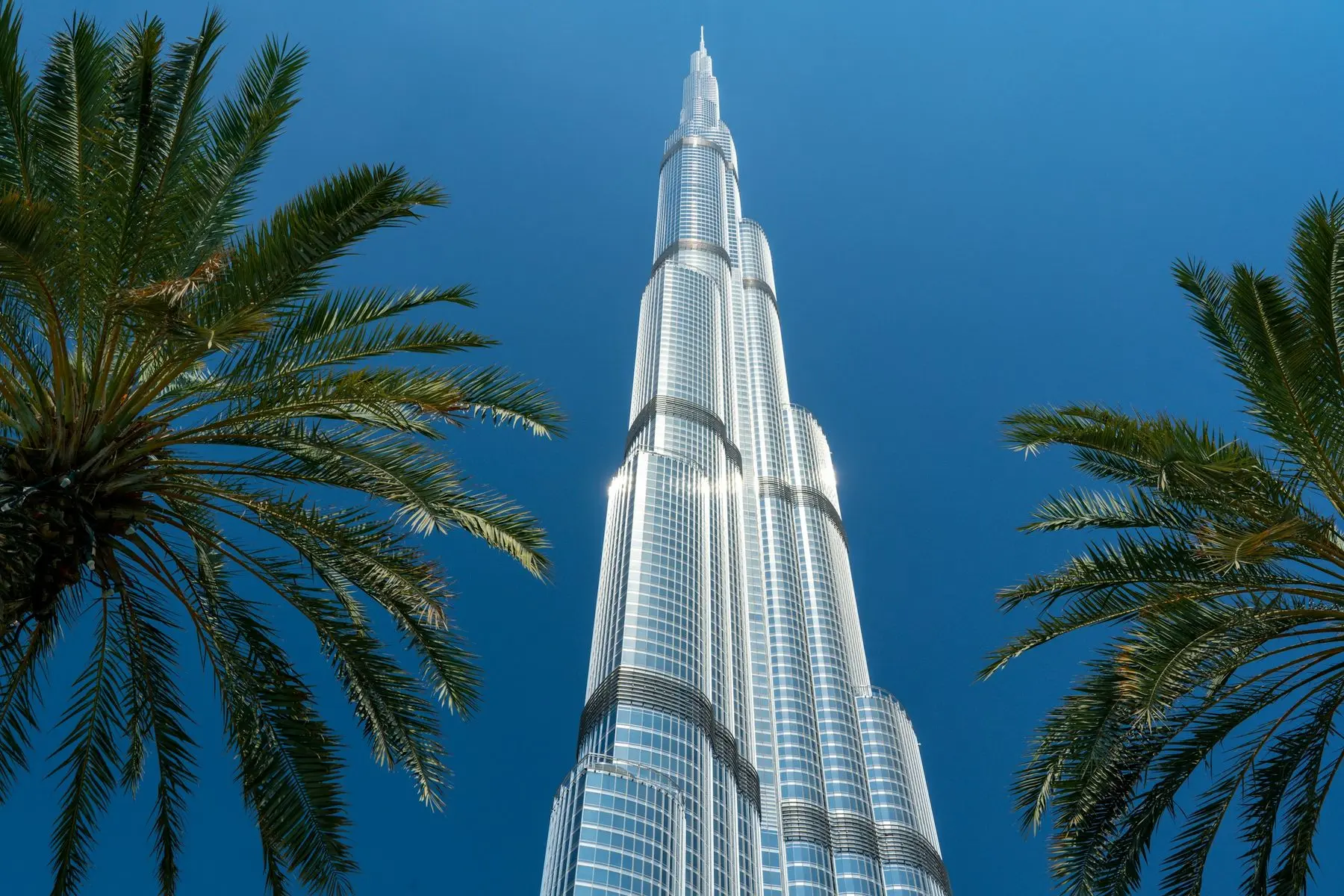 The Burj Khalifa, home of the Armani Hotel Dubai, framed by palms