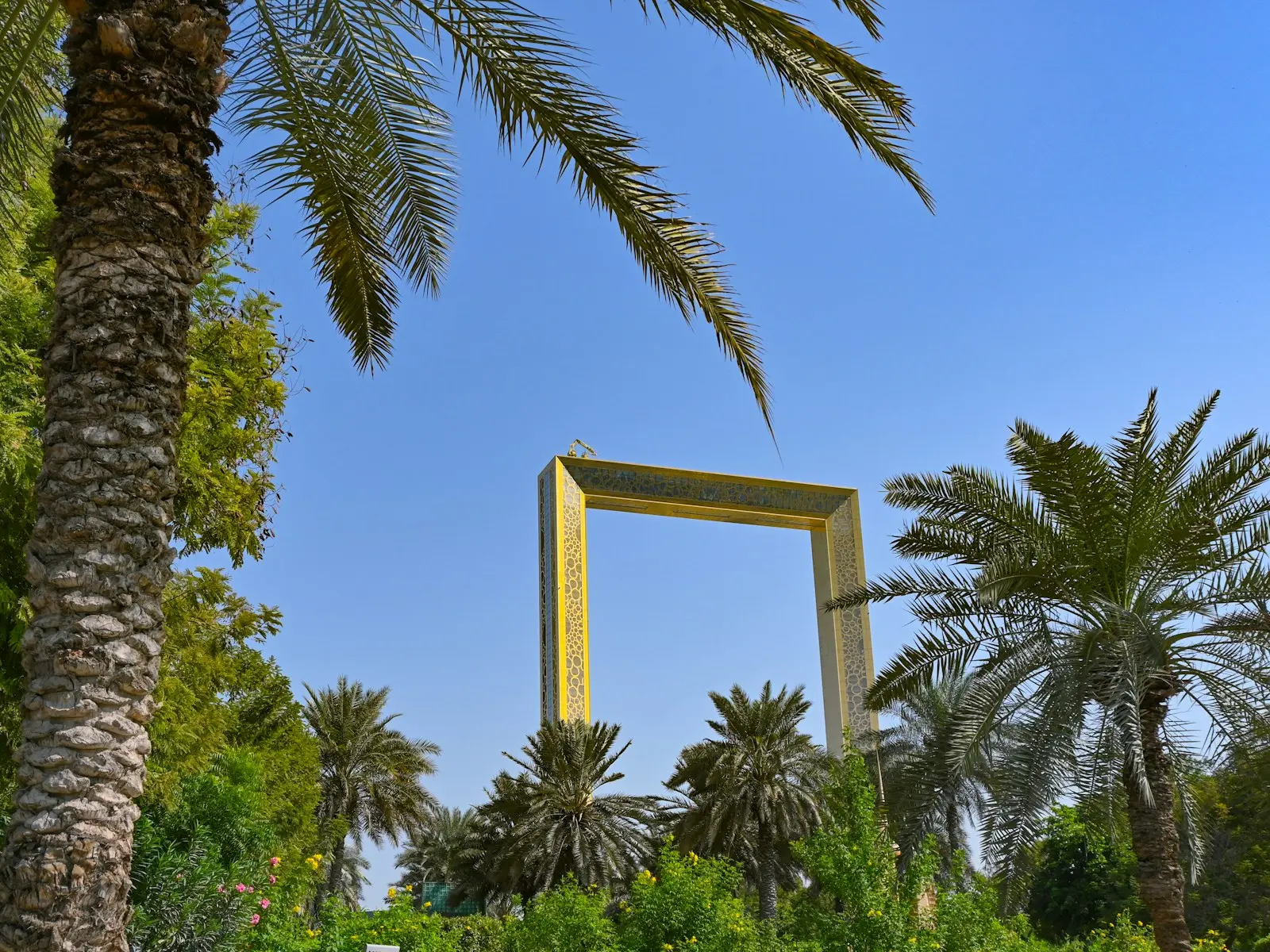 برواز دبي كما يرى من بين نخيل حديقة زعبيل