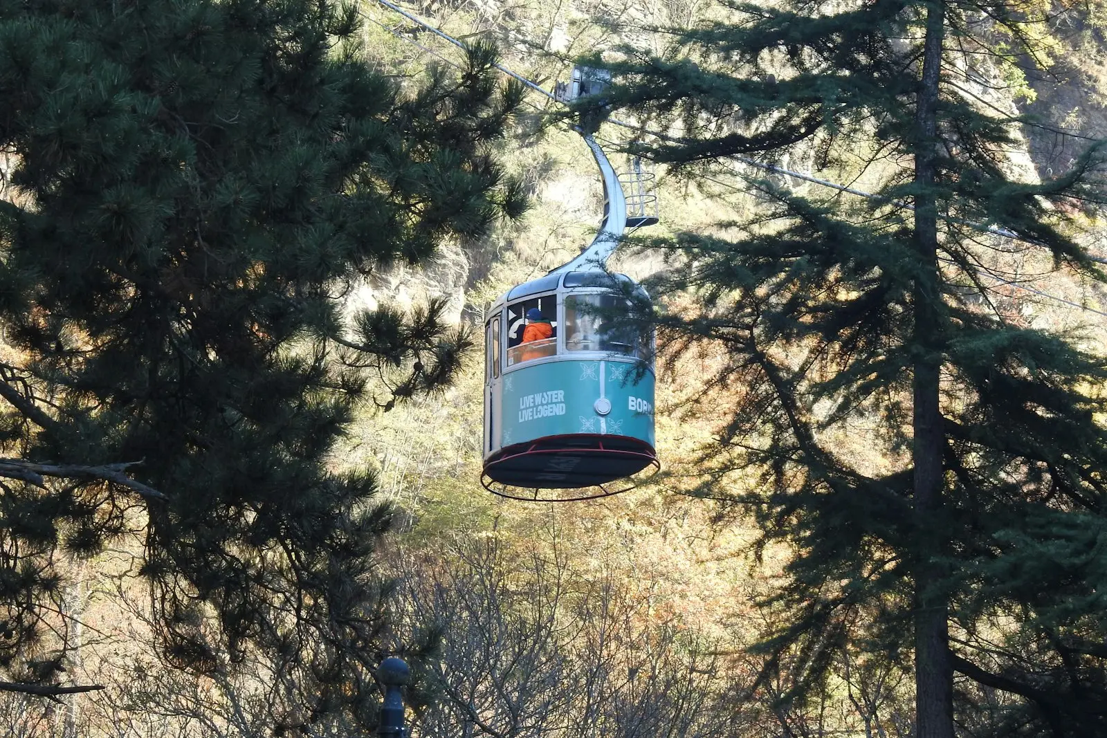 The Borjomi cable car passing through pine forest