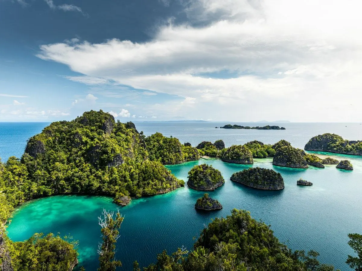 Green limestone islets in the turquoise water of Raja Ampat