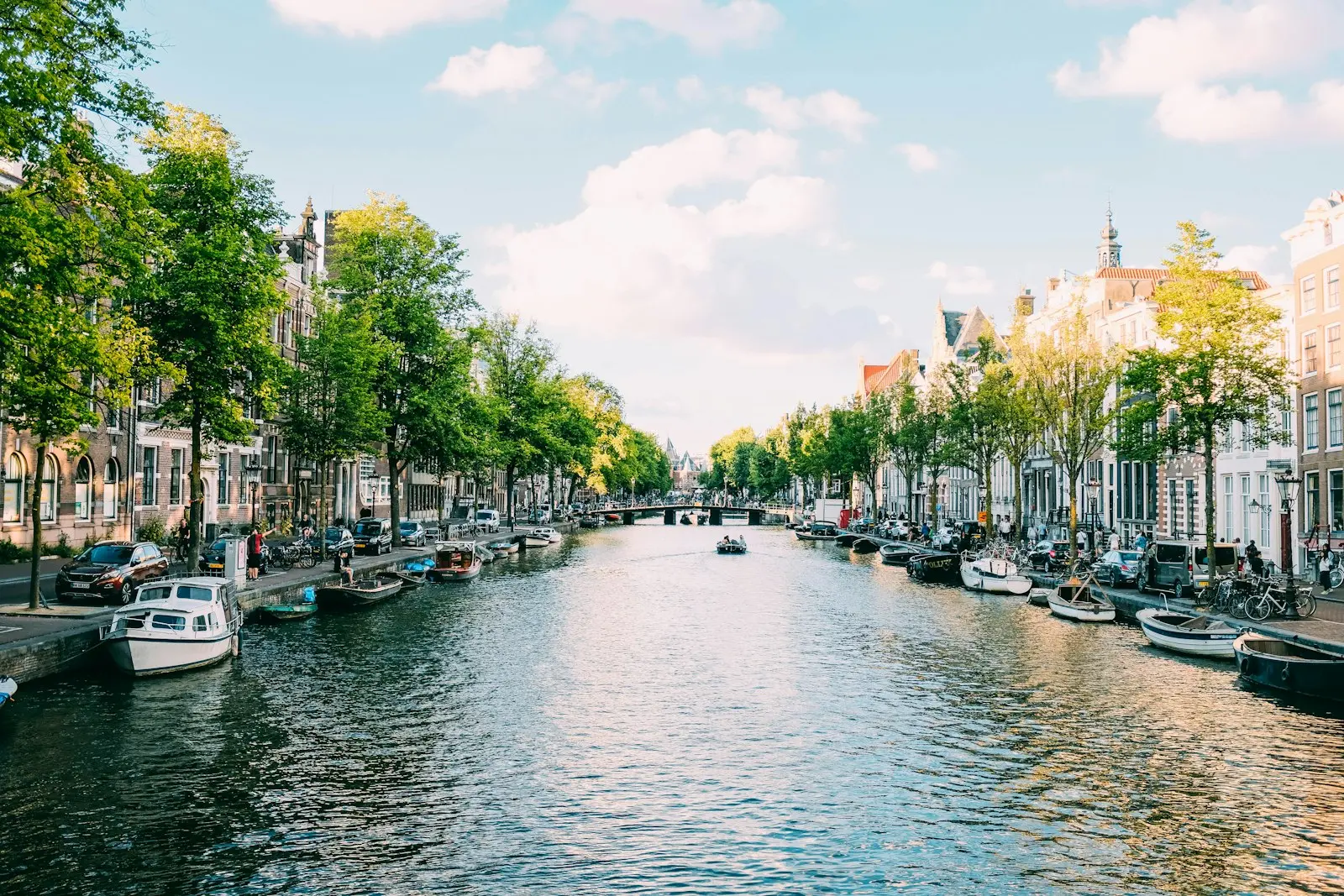 Boats moored along a tree-lined canal in Amsterdam