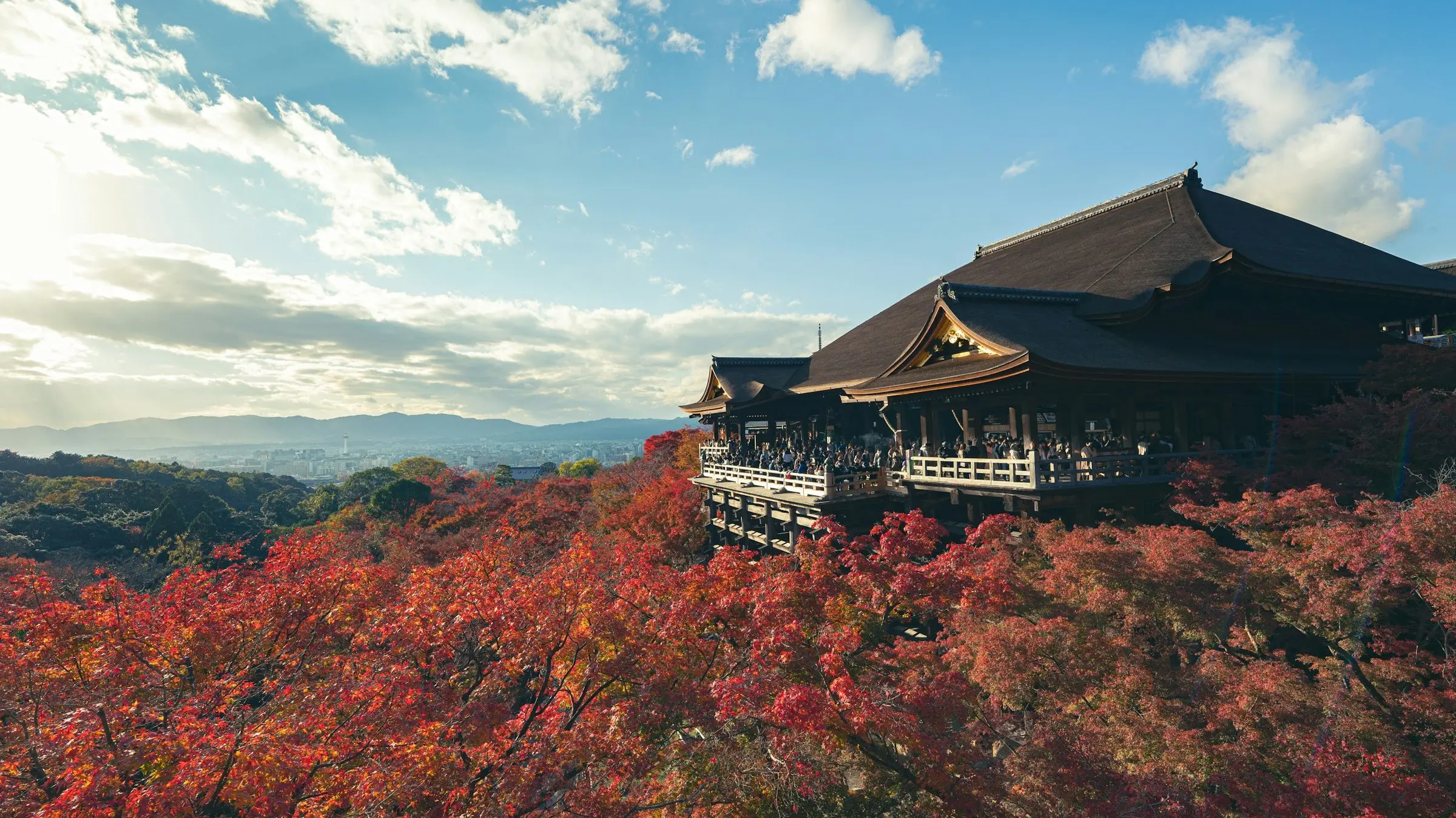 Kiyomizu-dera temple above autumn maples in Kyoto, Japan
