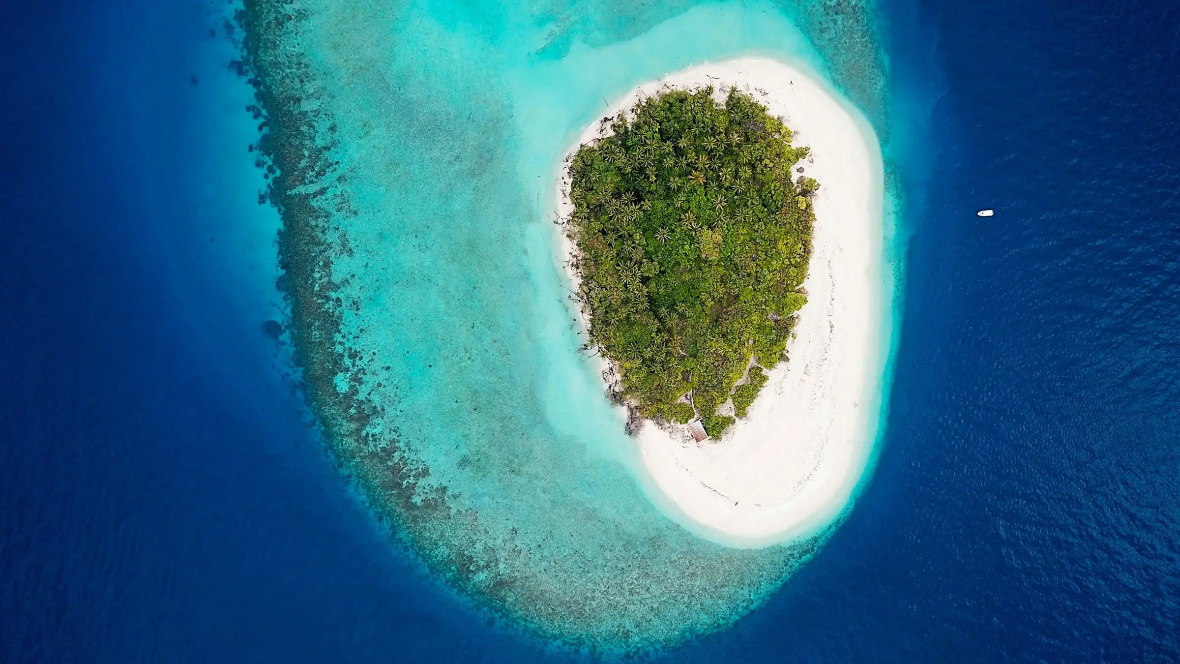 An uninhabited island and its reef in Baa Atoll, Maldives