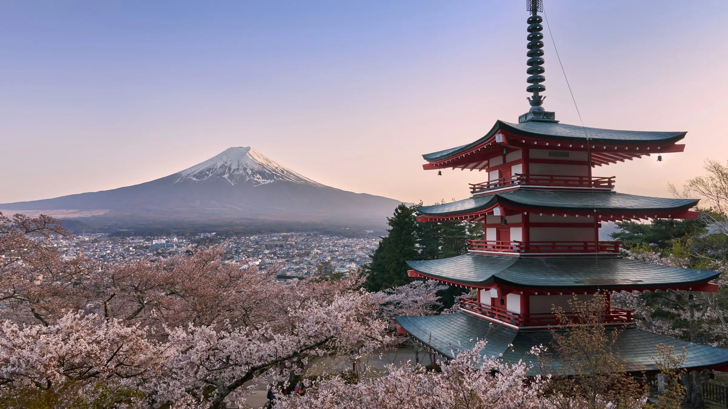 Chureito Pagoda and Mount Fuji above cherry blossom at dawn, Fujiyoshida, Japan