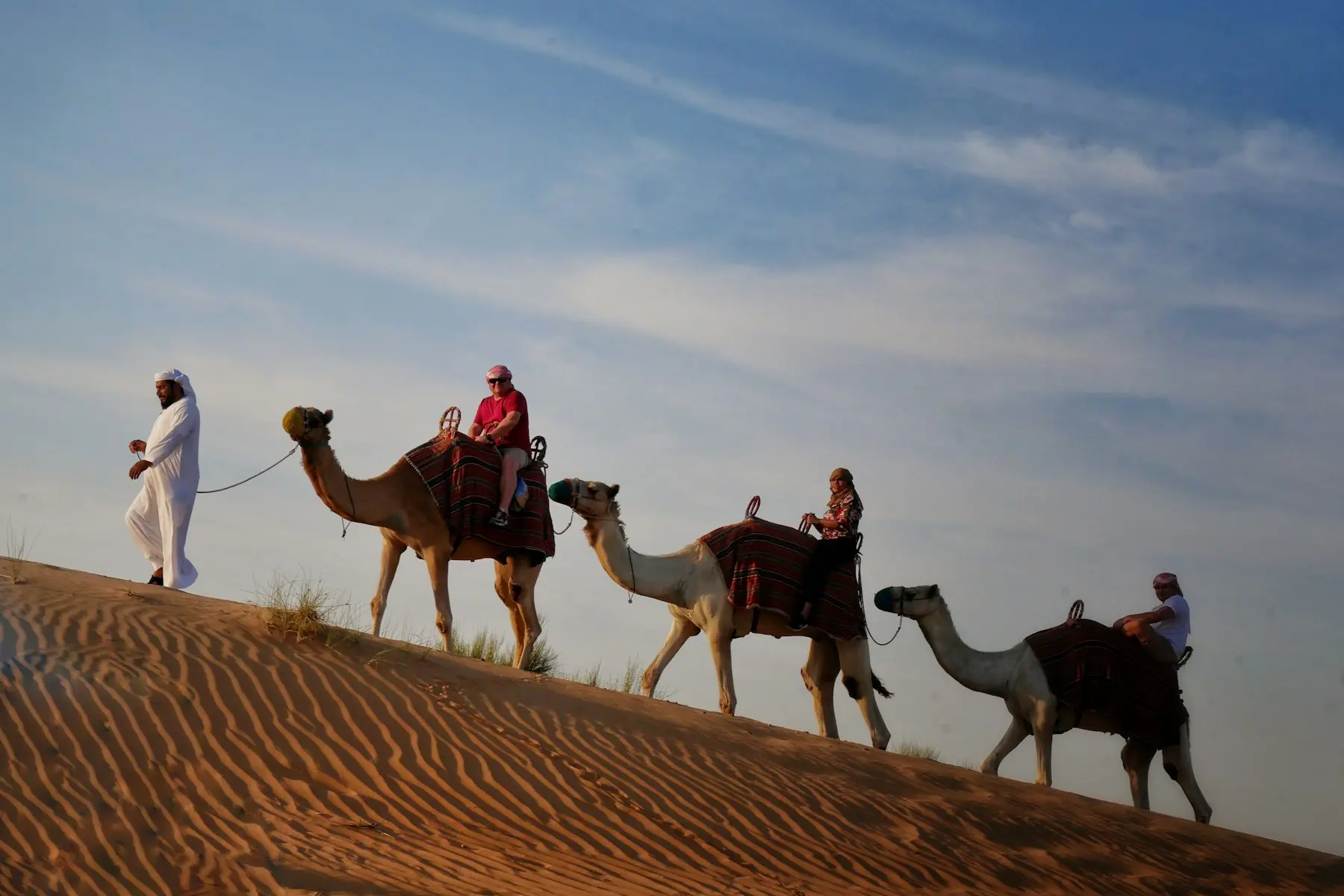 A guide leading a camel ride over the dunes on a Dubai desert safari